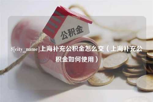 宜阳上海补充公积金怎么交（上海补充公积金如何使用）